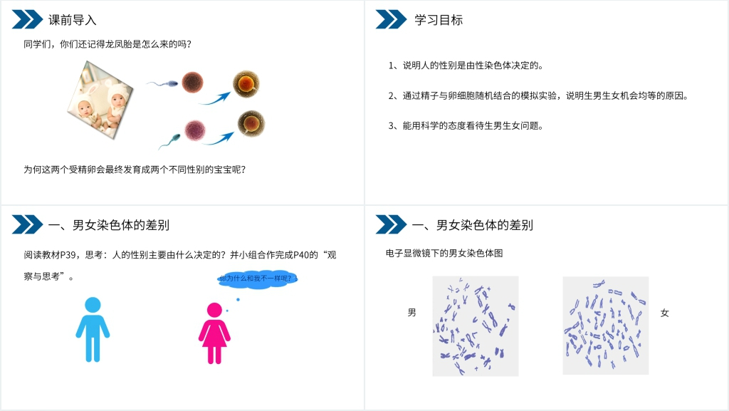 人教版初中生物八年级初二下册《生物的遗传和变异(人的性别遗传)》PPT课件 人教版初中生物八年级初二下册《生物的遗传和变异(人的性别遗传)》PPT课件