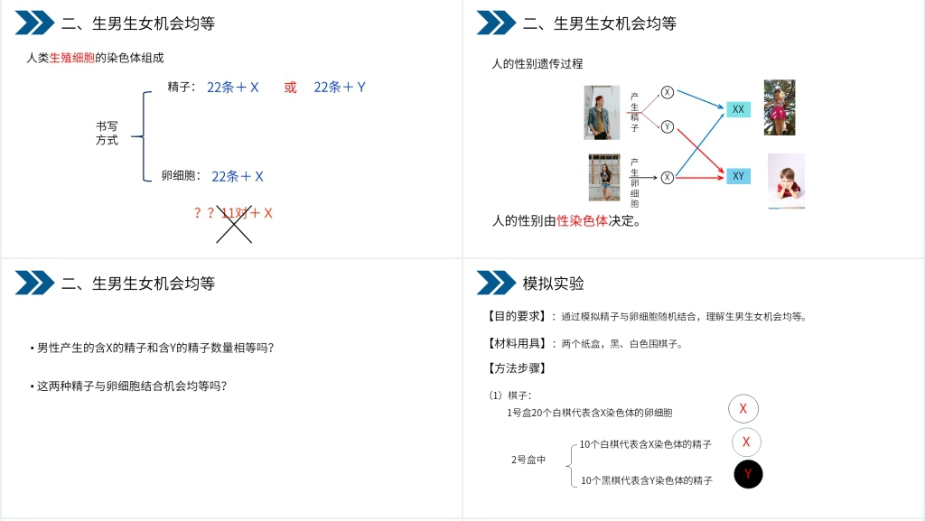 人教版初中生物八年级初二下册《生物的遗传和变异(人的性别遗传)》PPT课件 人教版初中生物八年级初二下册《生物的遗传和变异(人的性别遗传)》PPT课件