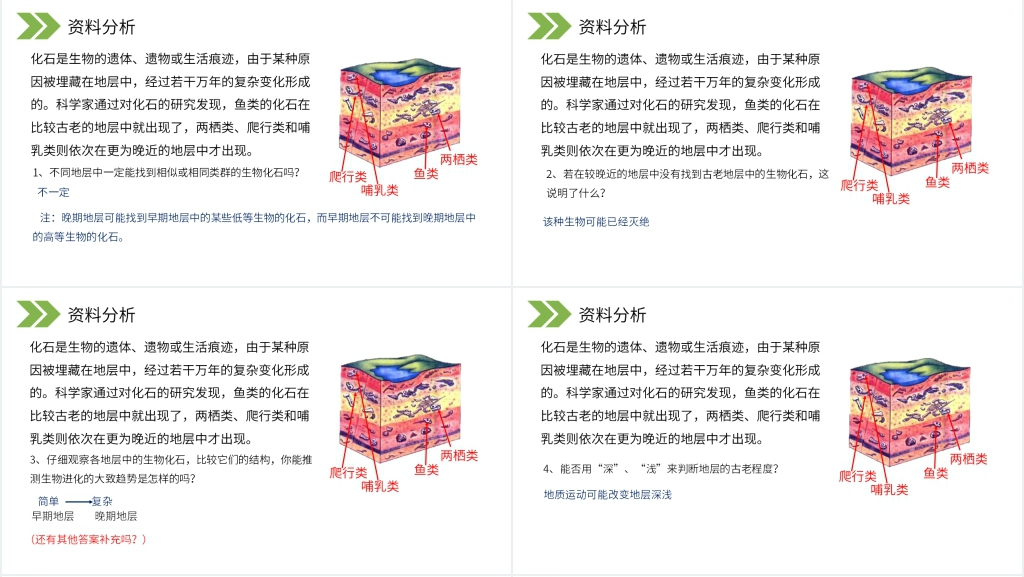 人教版初中生物八年级初二下册《生物进化的历程》PPT课件 人教版初中生物八年级初二下册《生物进化的历程》PPT课件