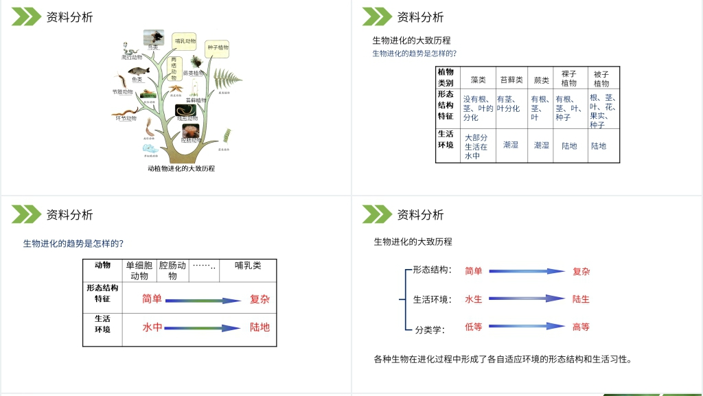 人教版初中生物八年级初二下册《生物进化的历程》PPT课件 人教版初中生物八年级初二下册《生物进化的历程》PPT课件