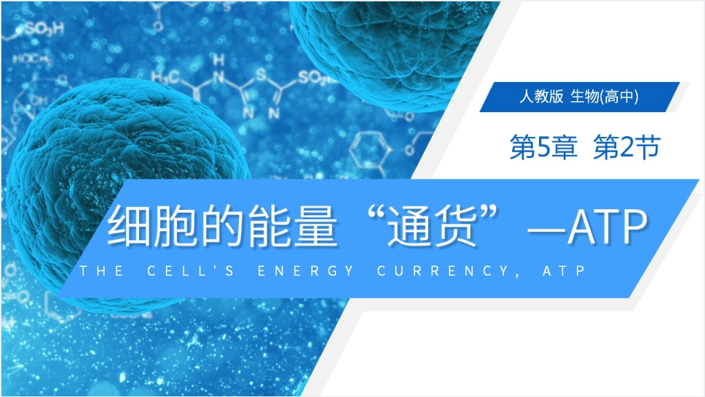 人教版必修高一生物《细胞的能量通货（ATP）》PPT课件截图