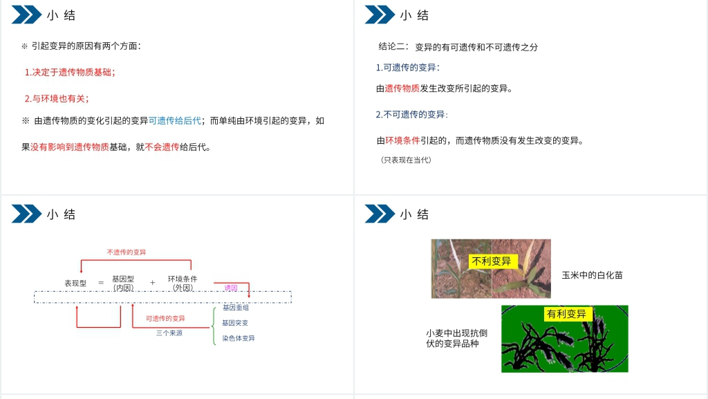 人教版初中生物八年级初二下册《生物的遗传和变异(生物的变异)》PPT课件 人教版初中生物八年级初二下册《生物的遗传和变异(生物的变异)》PPT课件