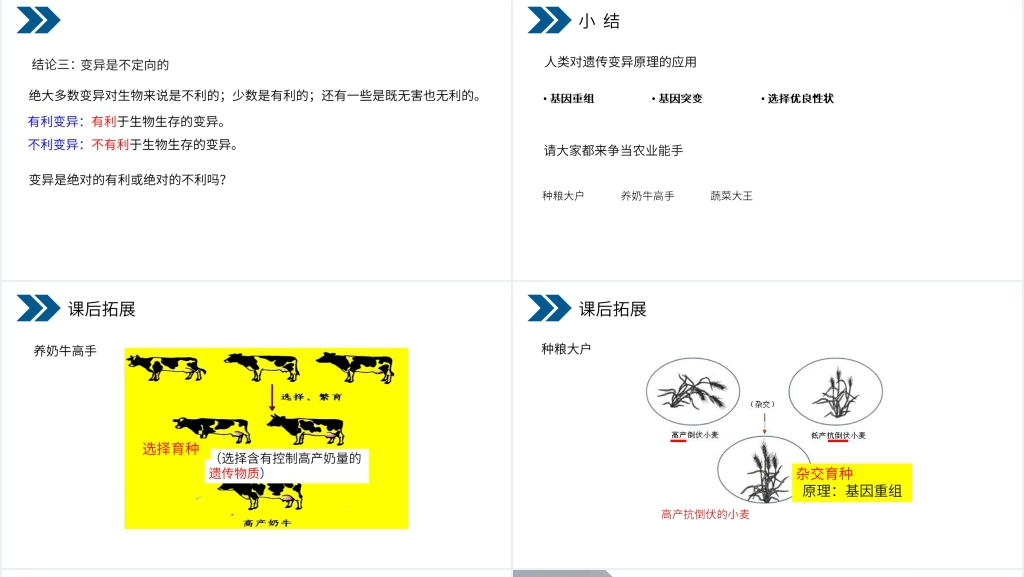 人教版初中生物八年级初二下册《生物的遗传和变异(生物的变异)》PPT课件 人教版初中生物八年级初二下册《生物的遗传和变异(生物的变异)》PPT课件