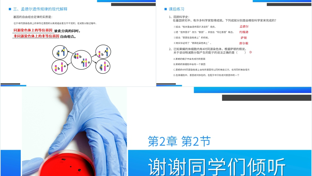 高一下册生物必修二《基因在染色体上》PPT课件 高一下册生物必修二《基因在染色体上》PPT课件