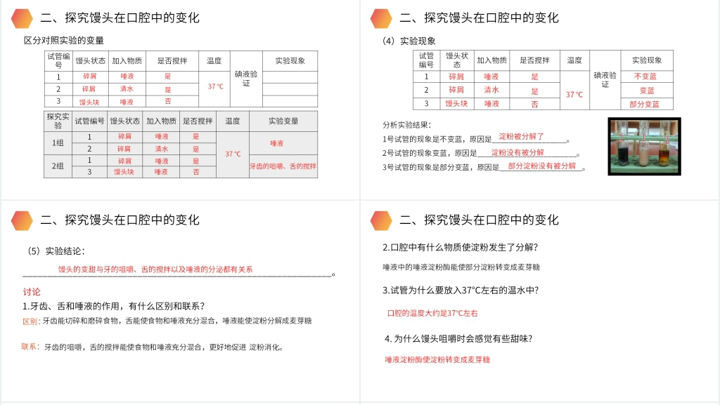人教版生物七年级初一下册《消化和吸收》PPT课件
