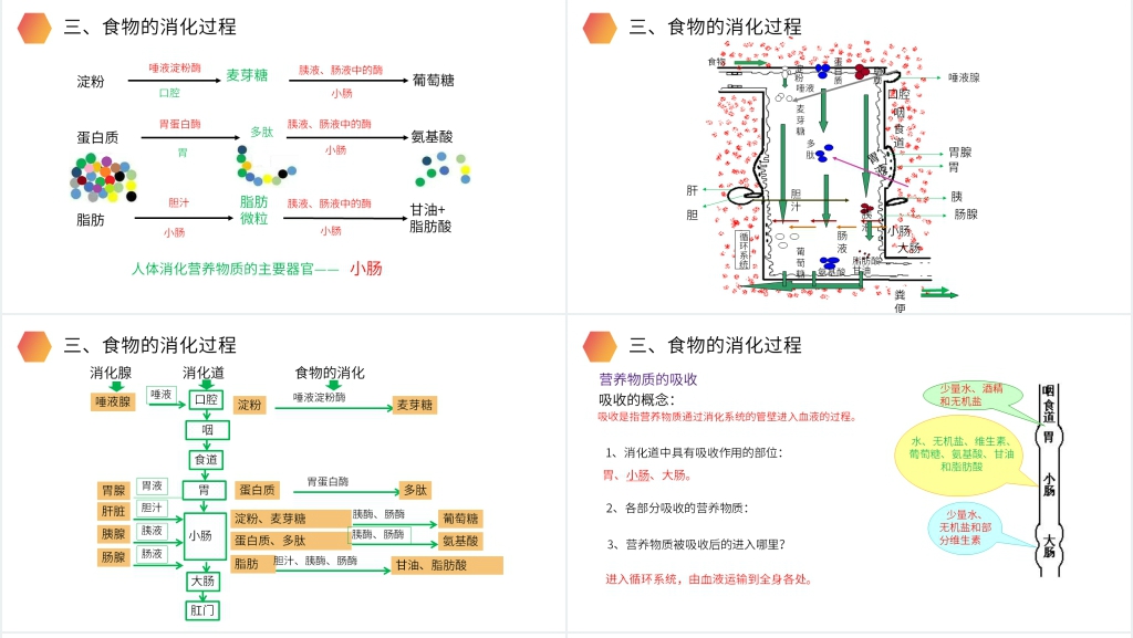 人教版生物七年级初一下册《消化和吸收》PPT课件
