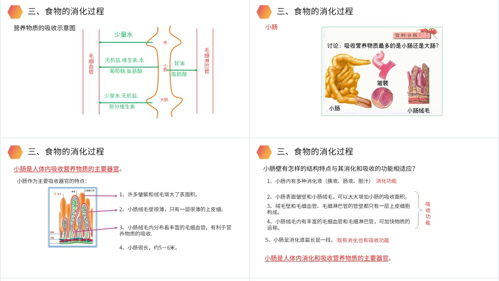 人教版生物七年级初一下册《消化和吸收》PPT课件