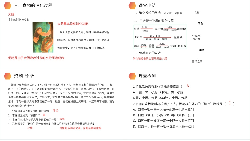 人教版生物七年级初一下册《消化和吸收》PPT课件