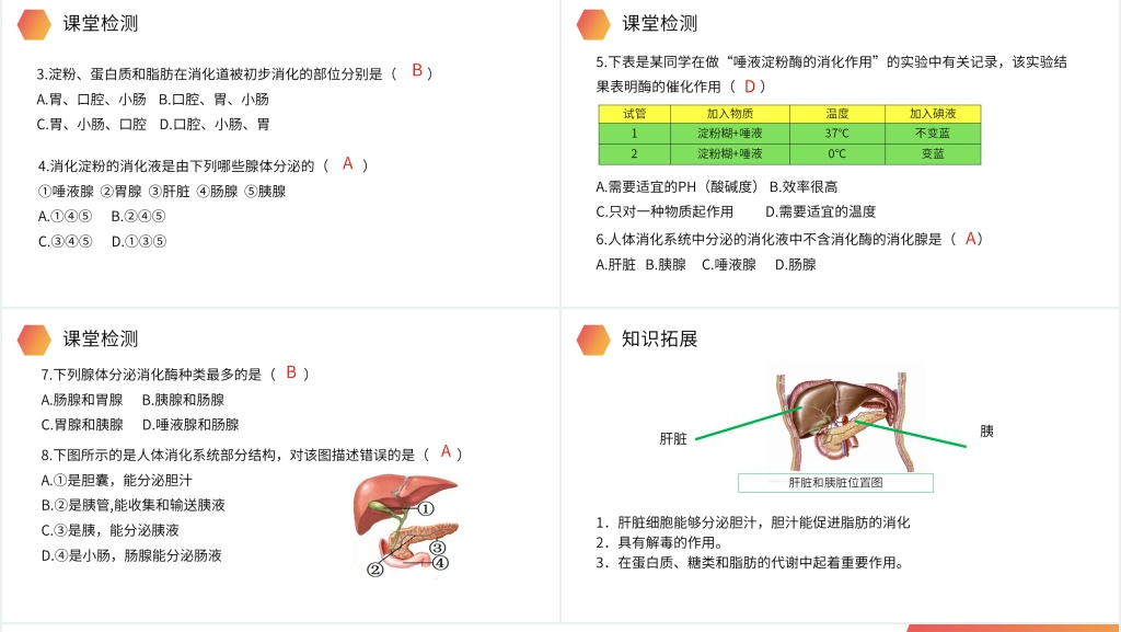 人教版生物七年级初一下册《消化和吸收》PPT课件