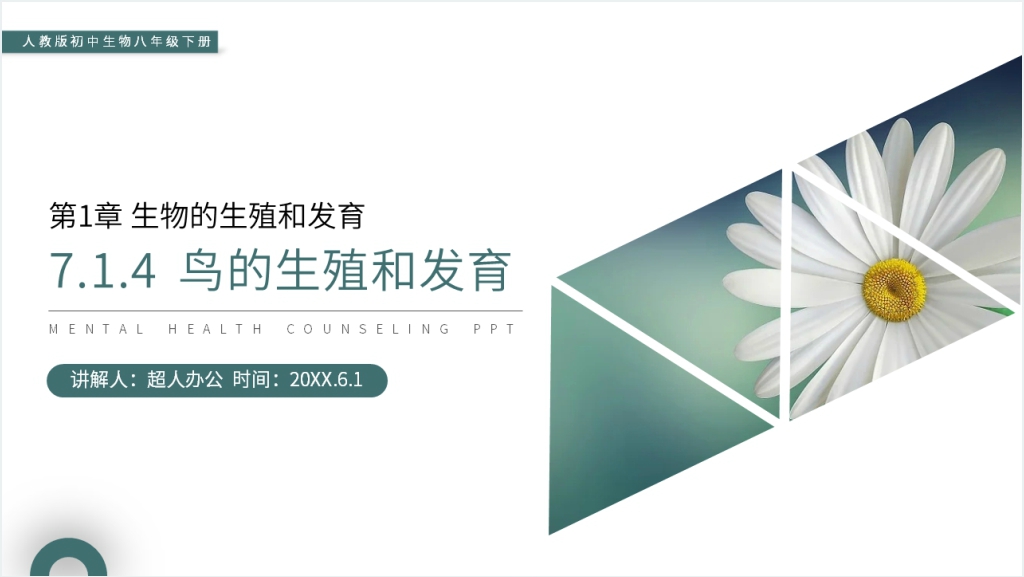人教版初中生物八年级初二下册《鸟的生殖和发育》讲解PPT课件截图
