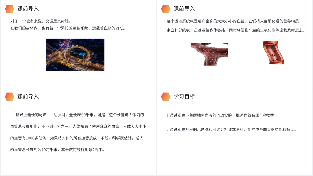 人教版生物七年级初一下册《血流的管道(血管)》讲课PPT课件 人教版生物七年级初一下册《血流的管道(血管)》讲课PPT课件