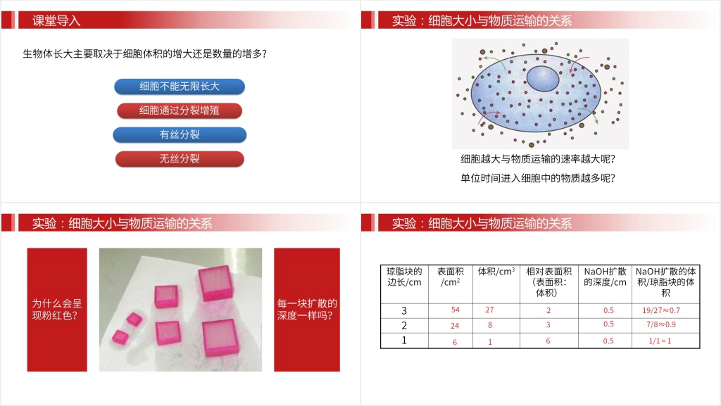 人教版必修高一生物《细胞的增值》PPT课件 人教版必修高一生物《细胞的增值》PPT课件