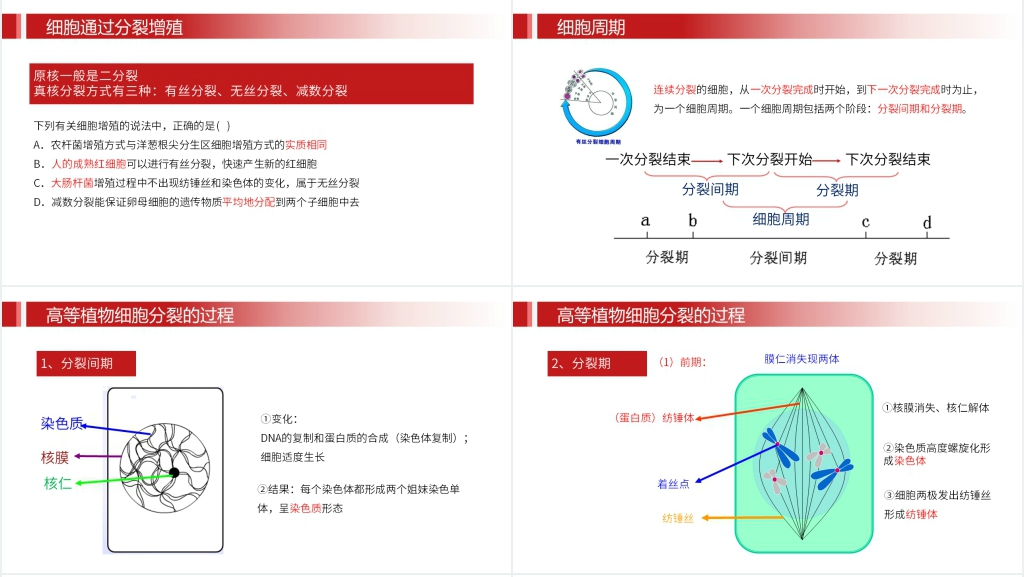 人教版必修高一生物《细胞的增值》PPT课件 人教版必修高一生物《细胞的增值》PPT课件