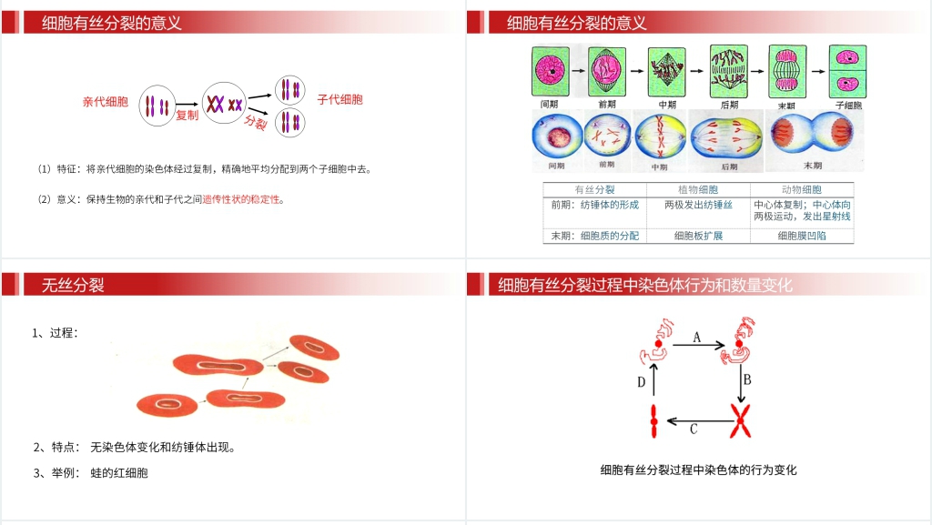 人教版必修高一生物《细胞的增值》PPT课件 人教版必修高一生物《细胞的增值》PPT课件