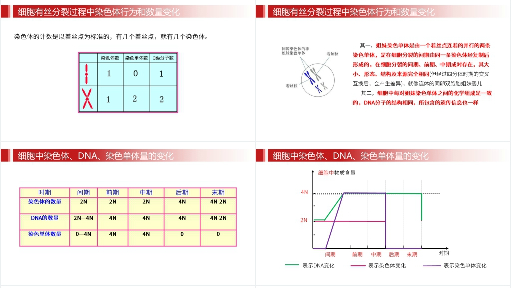 人教版必修高一生物《细胞的增值》PPT课件 人教版必修高一生物《细胞的增值》PPT课件