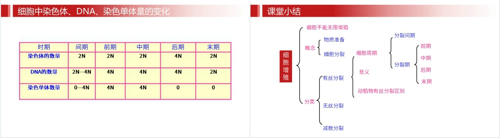 人教版必修高一生物《细胞的增值》PPT课件 人教版必修高一生物《细胞的增值》PPT课件