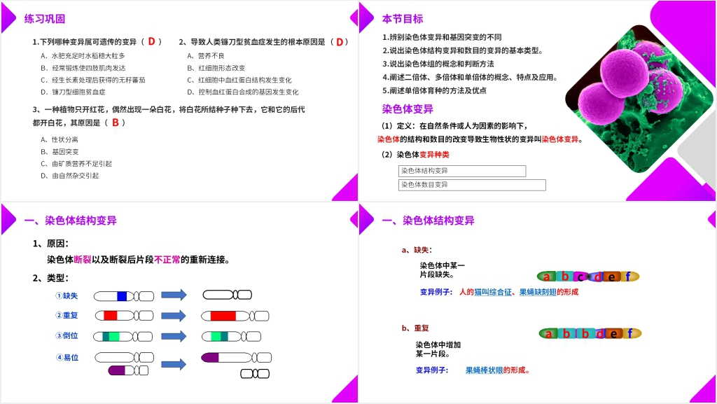 高一下册生物必修二《染色体变异》教学PPT课件 高一下册生物必修二《染色体变异》教学PPT课件