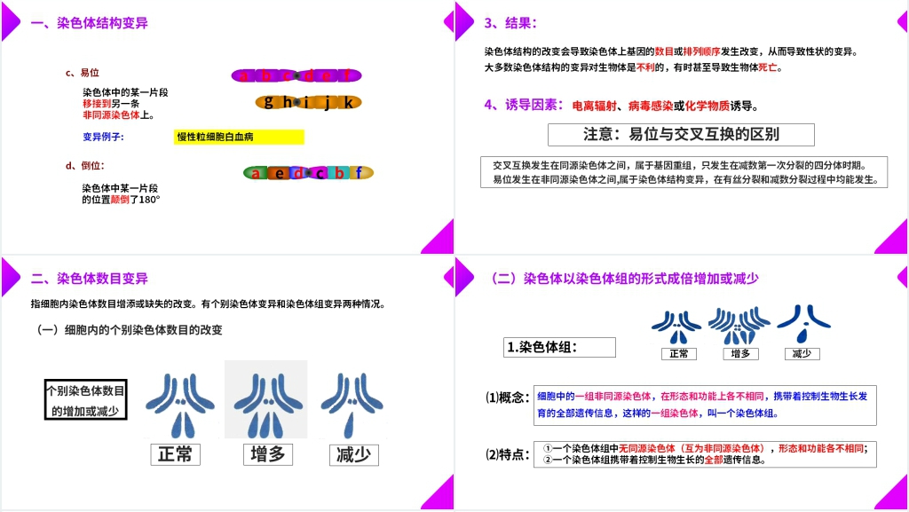 高一下册生物必修二《染色体变异》教学PPT课件 高一下册生物必修二《染色体变异》教学PPT课件