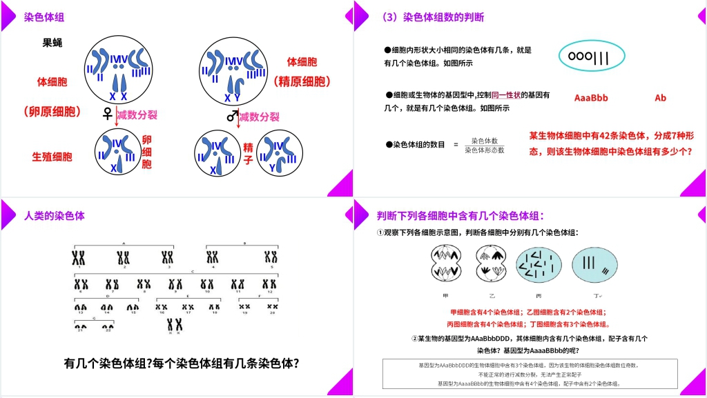 高一下册生物必修二《染色体变异》教学PPT课件 高一下册生物必修二《染色体变异》教学PPT课件