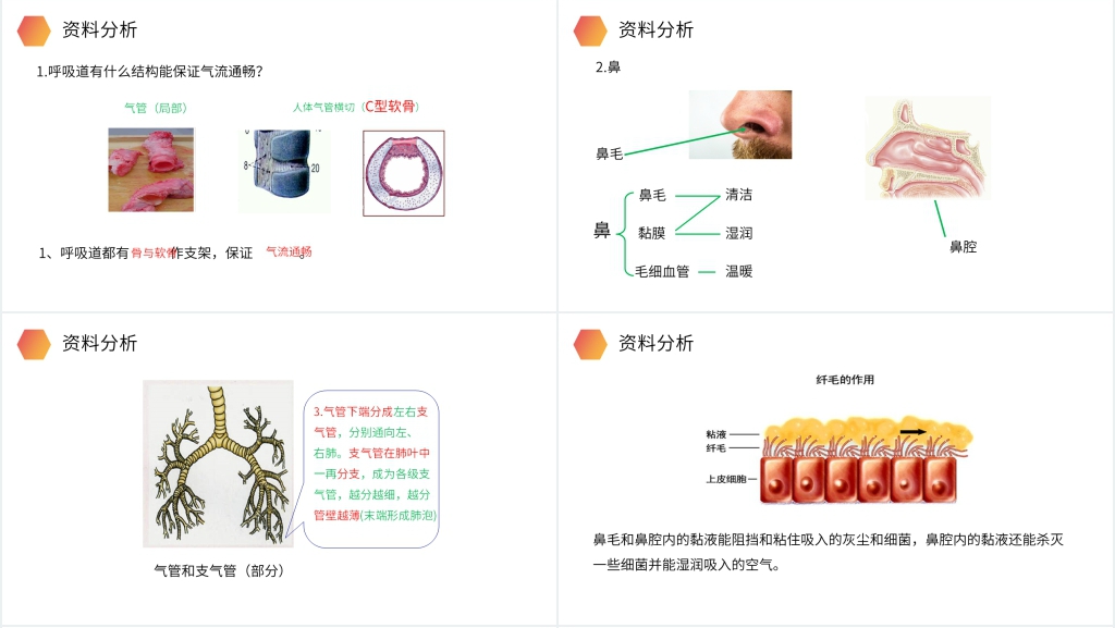 人教版生物七年级初一下册《呼吸道对空气的处理》PPT课件 人教版生物七年级初一下册《呼吸道对空气的处理》PPT课件