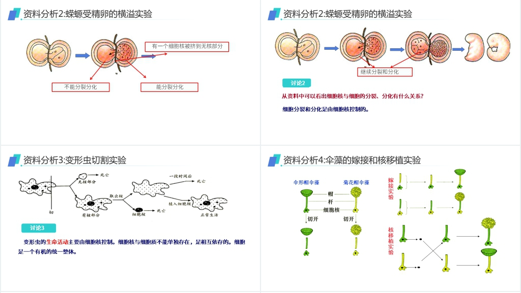 人教版必修高一生物《细胞核(系统的控制中心)》PPT课件 人教版必修高一生物《细胞核(系统的控制中心)》PPT课件