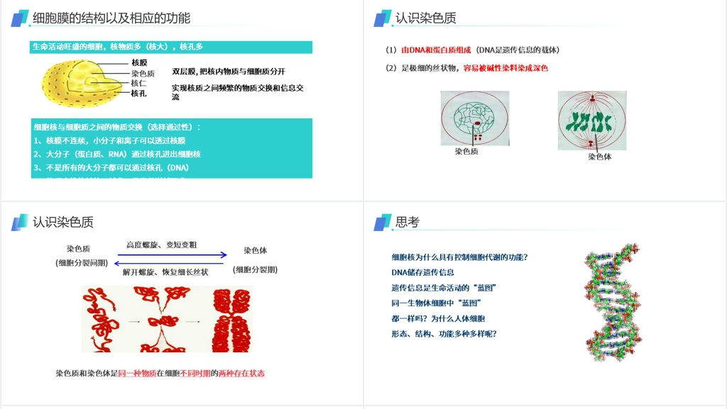人教版必修高一生物《细胞核(系统的控制中心)》PPT课件 人教版必修高一生物《细胞核(系统的控制中心)》PPT课件