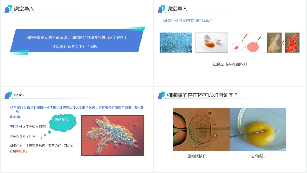 人教版必修高一生物《细胞膜(系统的边界)》PPT课件 人教版必修高一生物《细胞膜(系统的边界)》PPT课件