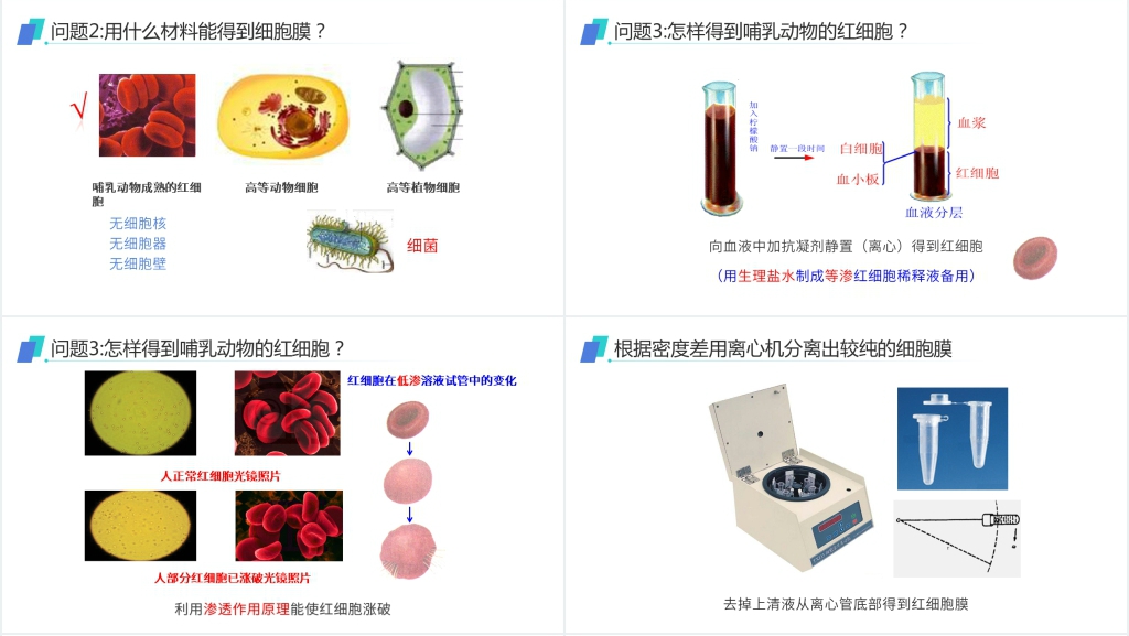 人教版必修高一生物《细胞膜(系统的边界)》PPT课件 人教版必修高一生物《细胞膜(系统的边界)》PPT课件