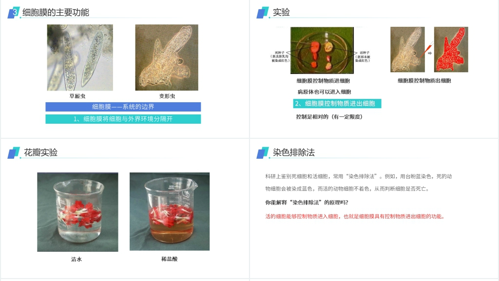 人教版必修高一生物《细胞膜(系统的边界)》PPT课件 人教版必修高一生物《细胞膜(系统的边界)》PPT课件