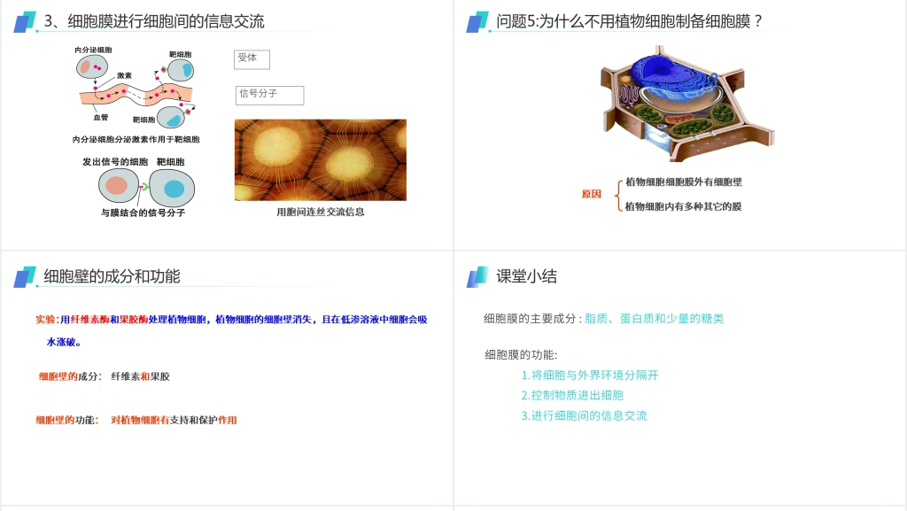 人教版必修高一生物《细胞膜(系统的边界)》PPT课件 人教版必修高一生物《细胞膜(系统的边界)》PPT课件