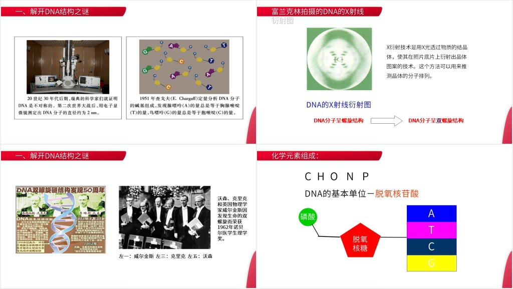 高一下册生物必修二《DNA分子的结构》PPT课件
