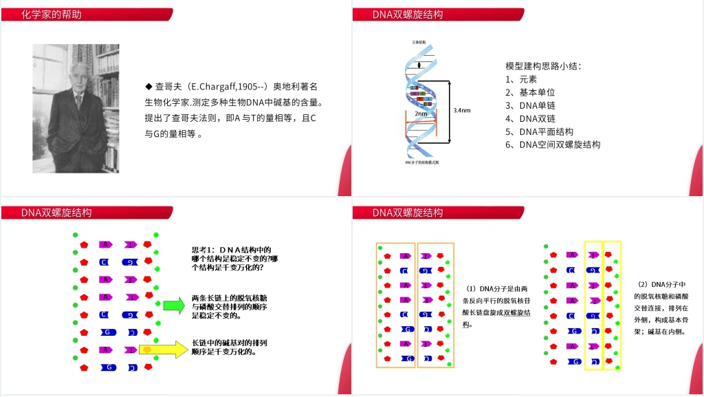 高一下册生物必修二《DNA分子的结构》PPT课件