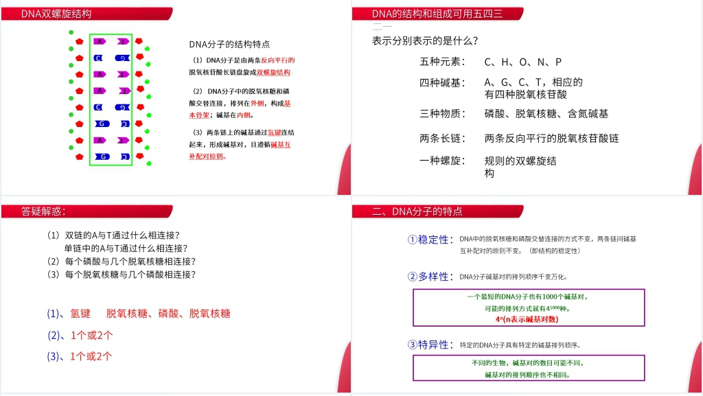 高一下册生物必修二《DNA分子的结构》PPT课件