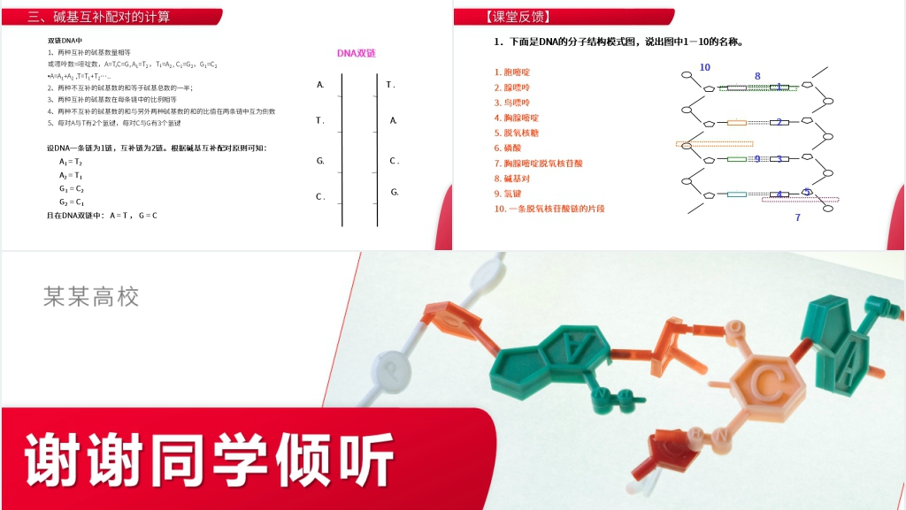 高一下册生物必修二《DNA分子的结构》PPT课件
