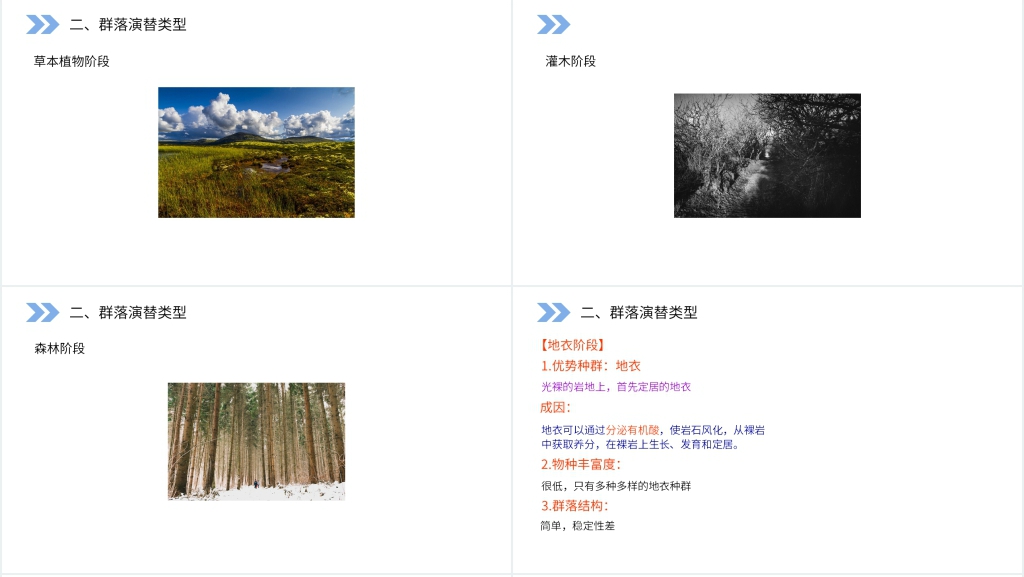 人教版高二生物必修三《群落的演替》讲课PPT课件 人教版高二生物必修三《群落的演替》讲课PPT课件