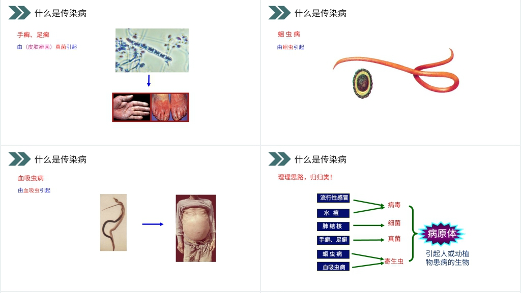 人教版初中生物八年级初二下册《传染病及其预防》PPT课件 人教版初中生物八年级初二下册《传染病及其预防》PPT课件