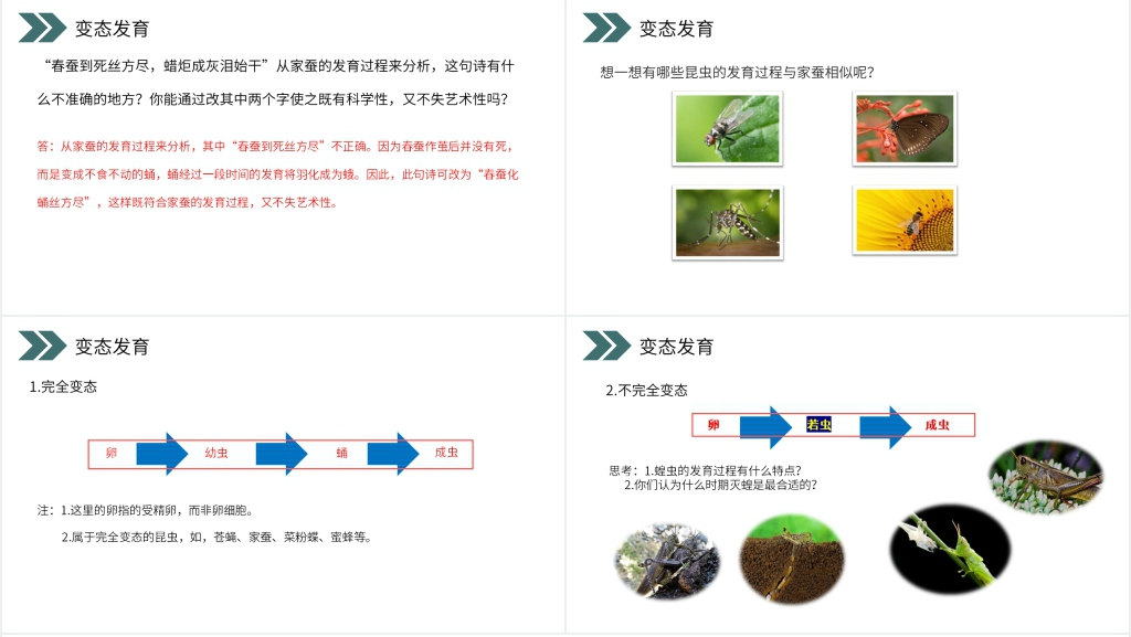 人教版初中生物八年级初二下册《昆虫的生殖和发育》PPT课件 人教版初中生物八年级初二下册《昆虫的生殖和发育》PPT课件