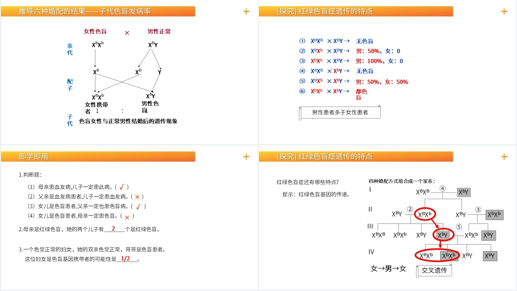 高一下册生物必修二《伴性遗传(1)》PPT课件 高一下册生物必修二《伴性遗传(1)》PPT课件