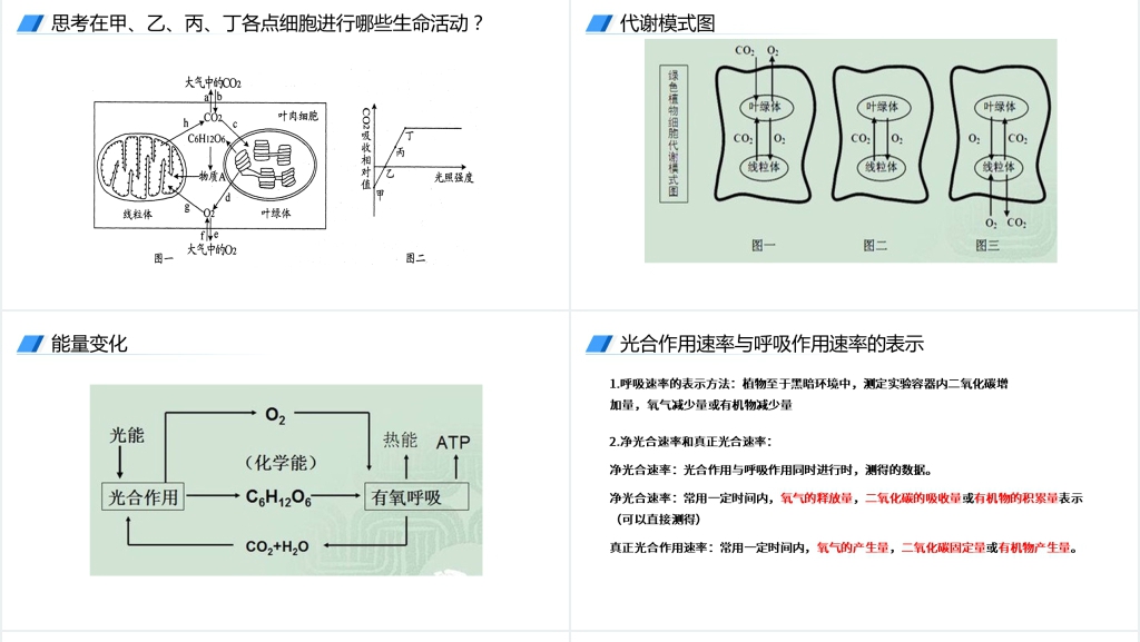 人教版必修高一生物《光合作用的原理和应用》讲解PPT课件 人教版必修高一生物《光合作用的原理和应用》讲解PPT课件