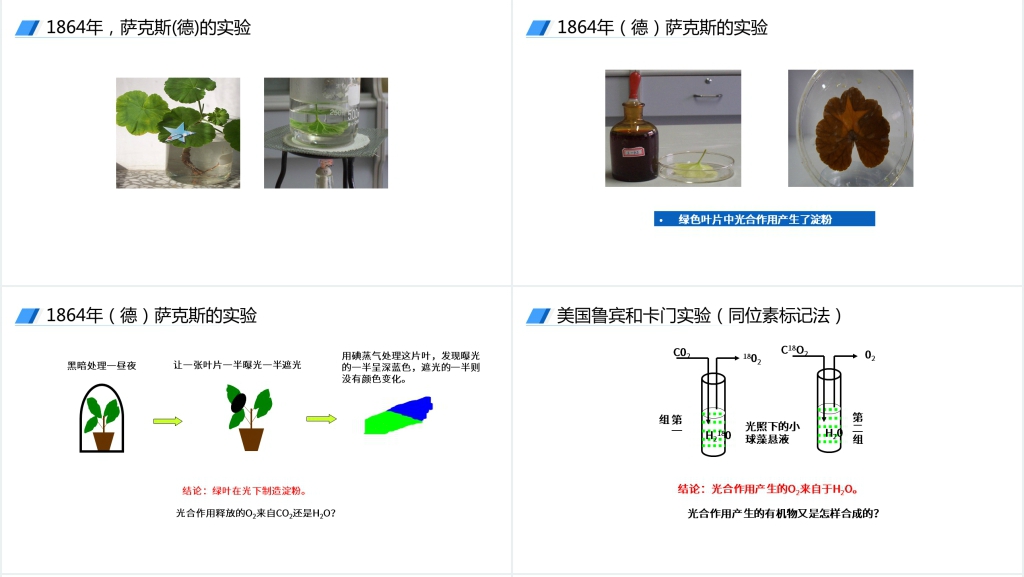 人教版必修高一生物《光合作用的原理和应用》讲解PPT课件 人教版必修高一生物《光合作用的原理和应用》讲解PPT课件