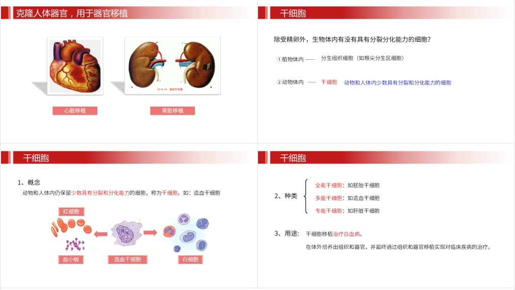 人教版必修高一生物《细胞的衰老和凋亡》PPT课件 人教版必修高一生物《细胞的衰老和凋亡》PPT课件