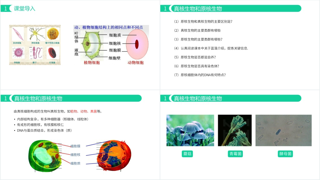 人教版必修高一生物《细胞的多样性与统一性》PPT课件 人教版必修高一生物《细胞的多样性与统一性》PPT课件