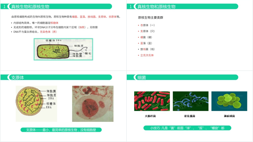 人教版必修高一生物《细胞的多样性与统一性》PPT课件 人教版必修高一生物《细胞的多样性与统一性》PPT课件