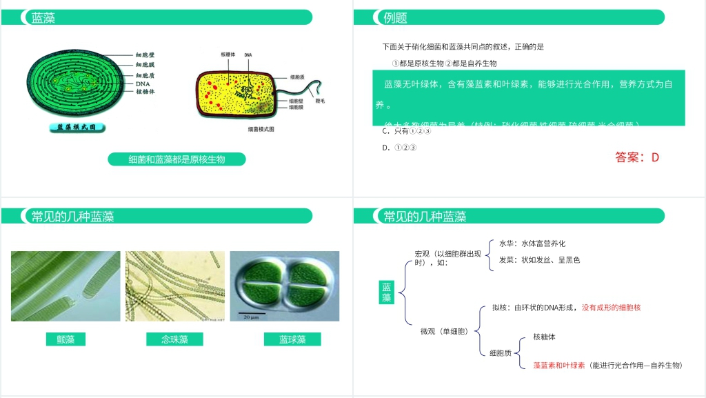 人教版必修高一生物《细胞的多样性与统一性》PPT课件 人教版必修高一生物《细胞的多样性与统一性》PPT课件