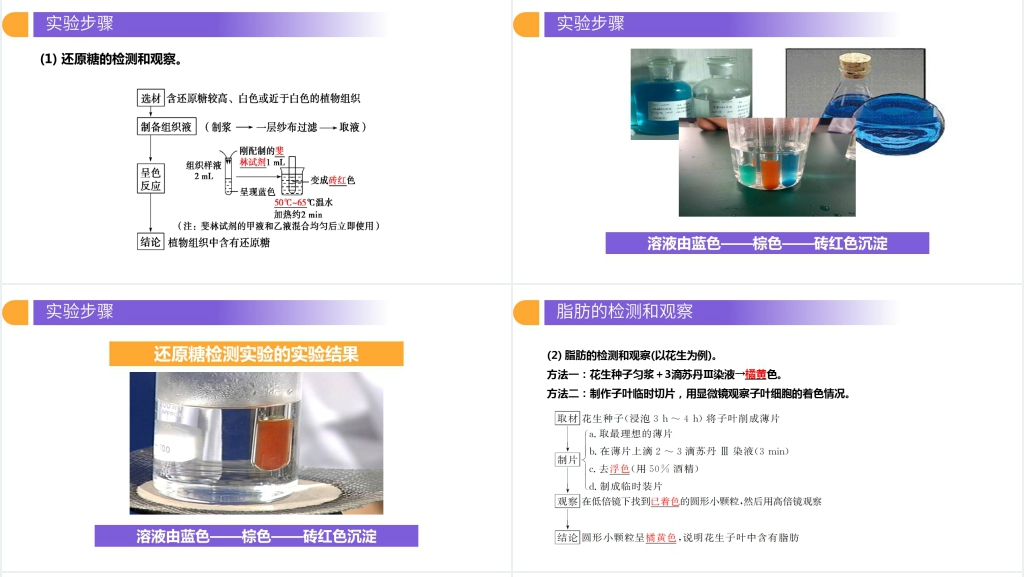 人教版必修高一生物《细胞中的元素和化合物》教案PPT课件 人教版必修高一生物《细胞中的元素和化合物》教案PPT课件