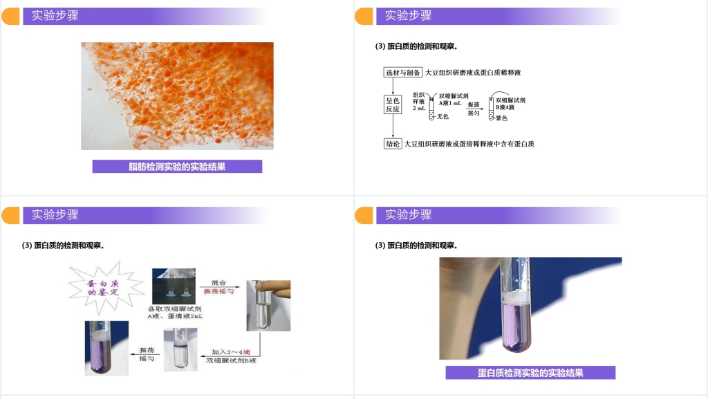 人教版必修高一生物《细胞中的元素和化合物》教案PPT课件 人教版必修高一生物《细胞中的元素和化合物》教案PPT课件