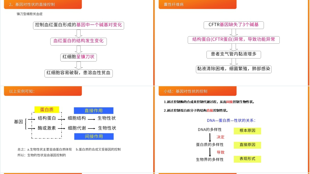 高一下册生物必修二《基因对性状的控制》PPT课件