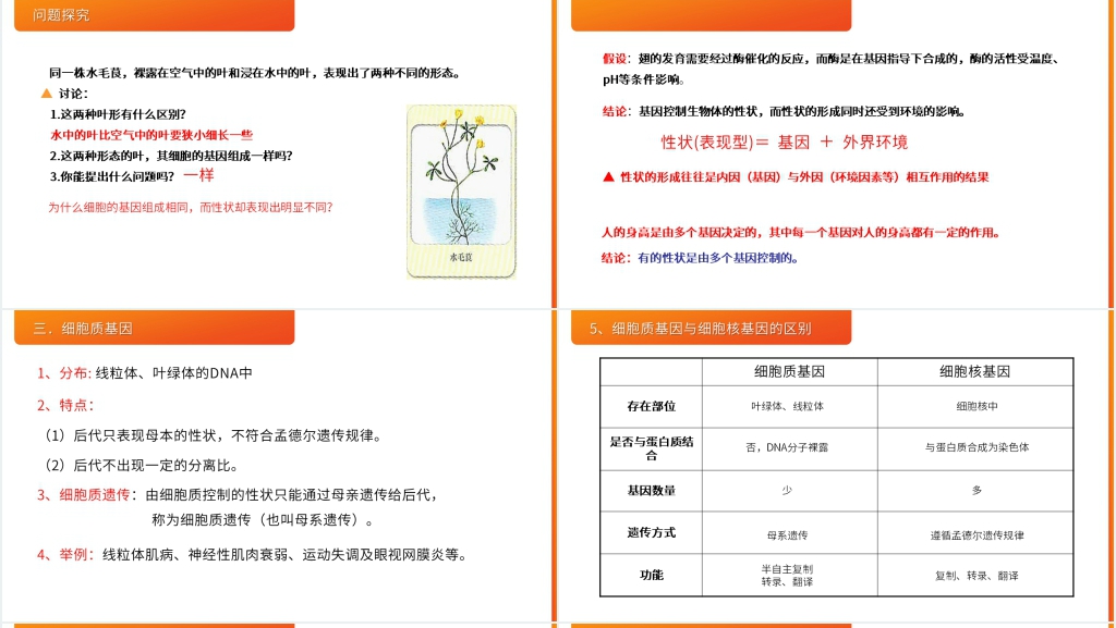 高一下册生物必修二《基因对性状的控制》PPT课件