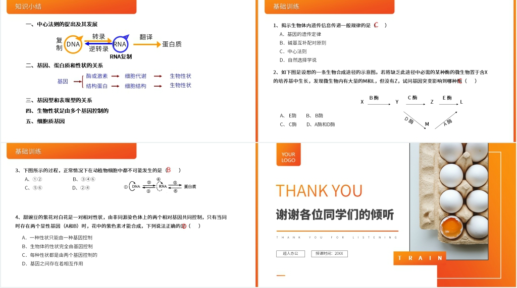高一下册生物必修二《基因对性状的控制》PPT课件