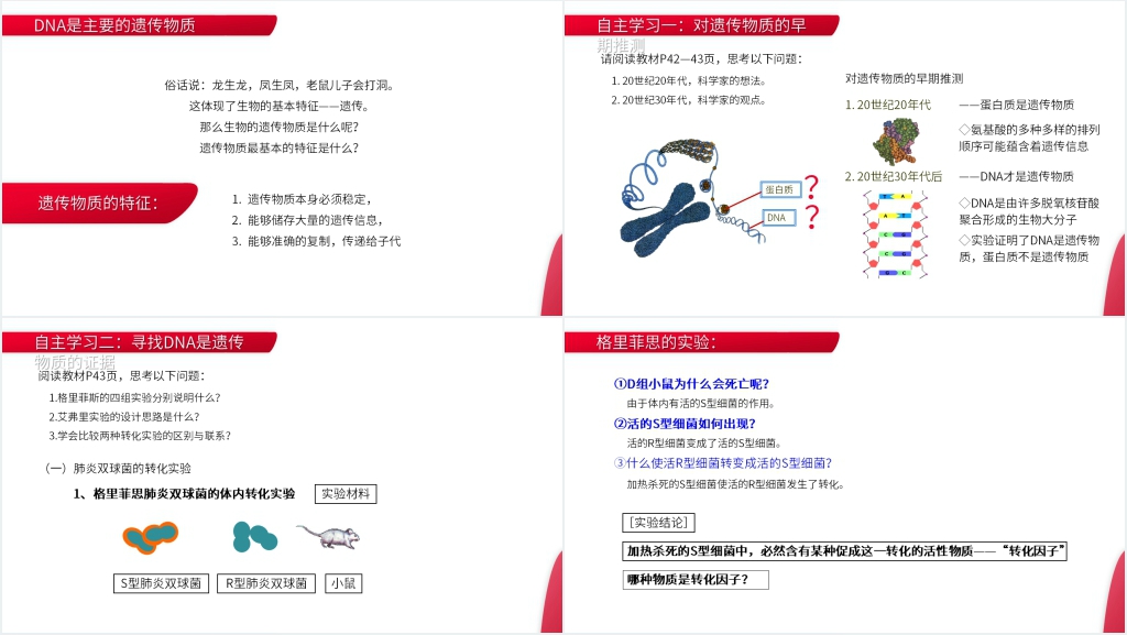 高一下册生物必修二《DNA是主要的遗传物质》教学PPT课件 高一下册生物必修二《DNA是主要的遗传物质》教学PPT课件